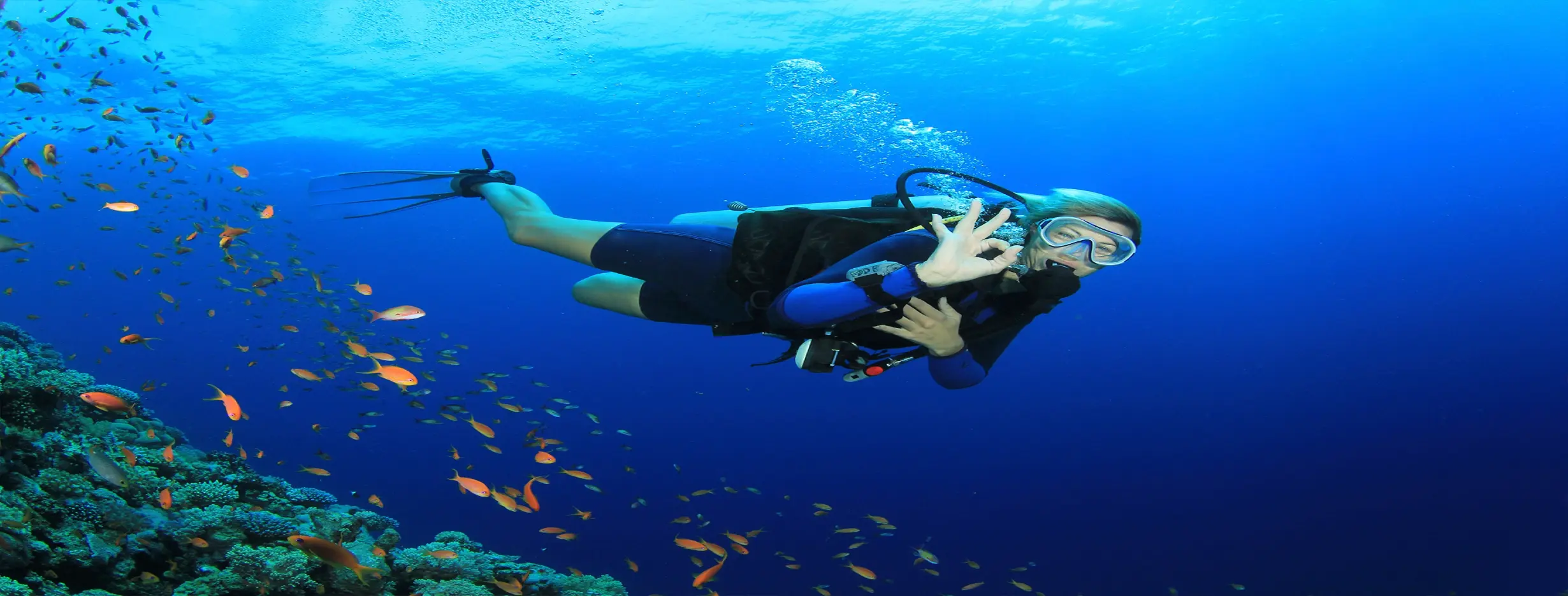 Image for Scuba Diving